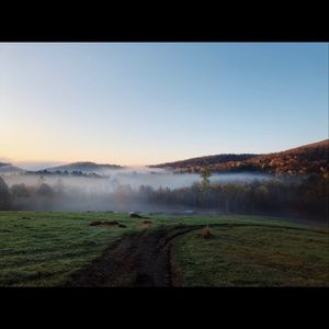 Meet your Posher, Mary kate